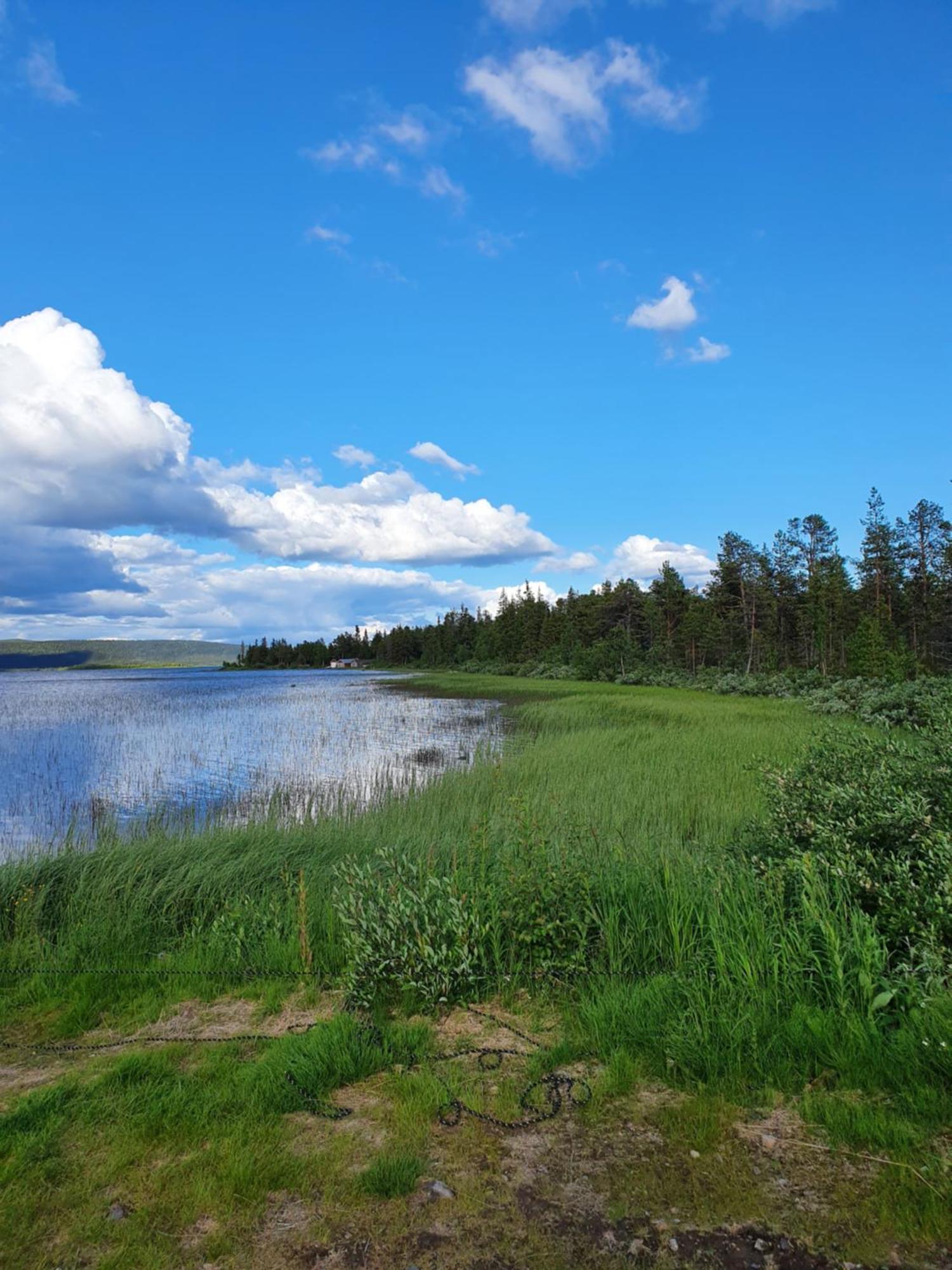 Camp Caroli Wooden Cabins Jukkasjärvi Zewnętrze zdjęcie