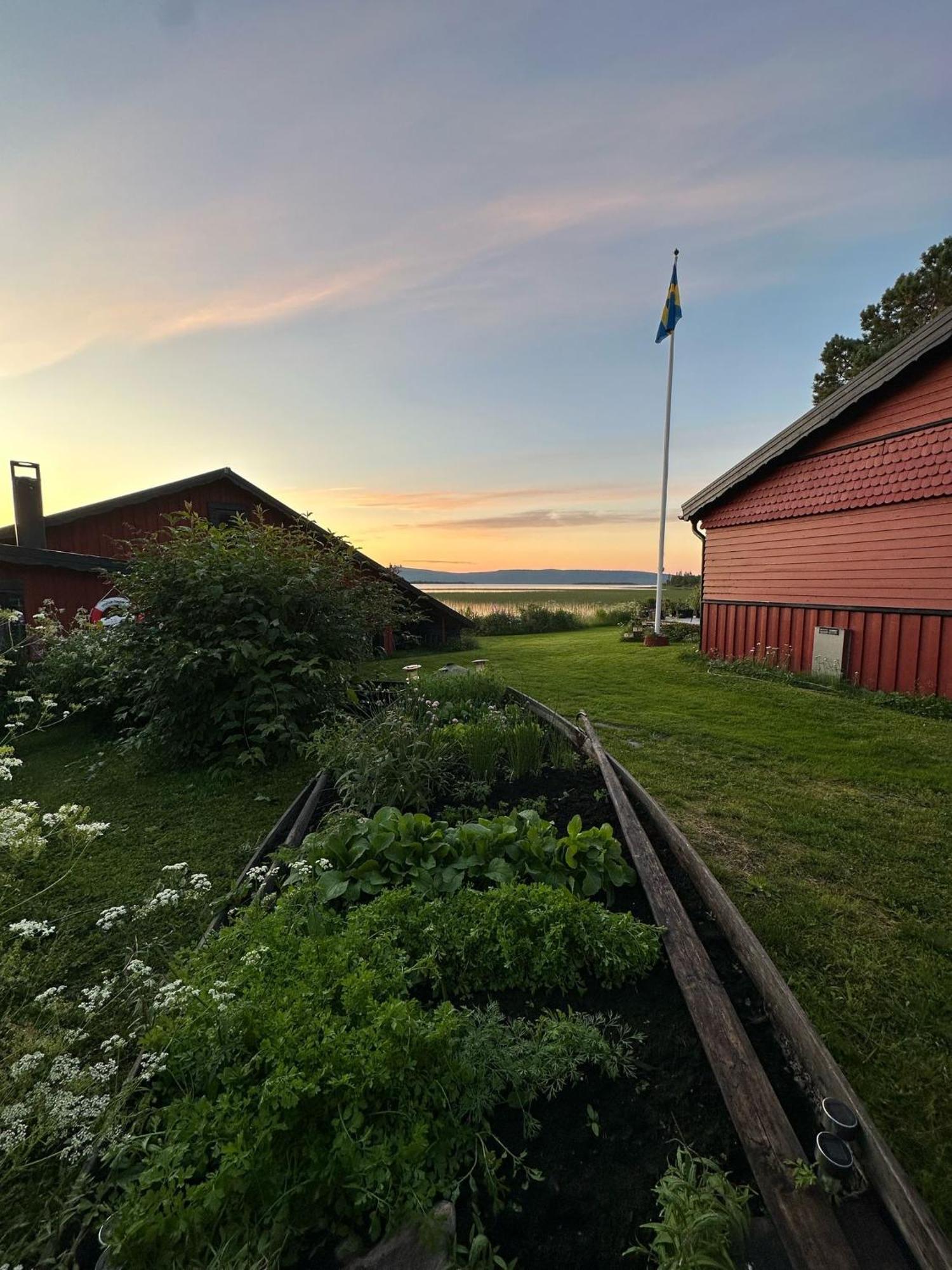 Camp Caroli Wooden Cabins Jukkasjärvi Zewnętrze zdjęcie